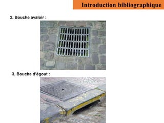 Introduction bibliographique
2. Bouche avaloir :
3. Bouche d’égout :
 