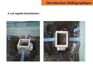 Introduction bibliographique
4. Les regards branchement :
 