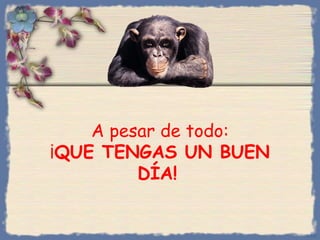 A pesar de todo:
¡QUE TENGAS UN BUEN
DÍA!
Bihal
 