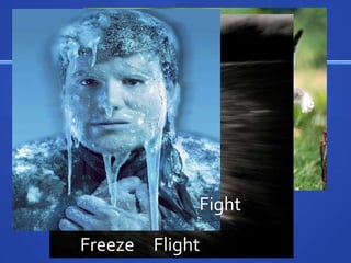 Fight

Freeze Flight
 