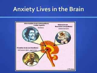 Anxiety Lives in the Brain
 