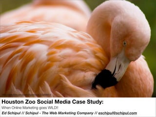 http://www.ﬂickr.com/photos/16638697@N00/272814244/
http://www.ﬂickr.com/photos/cybertoad/3224699416


Houston Zoo Social Media Case Study:
When Online Marketing goes WILD!!
Ed Schipul // Schipul - The Web Marketing Company // eschipul@schipul.com
 