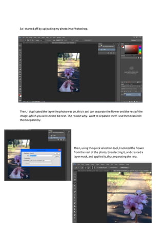 So I startedoff by uploadingmyphotointoPhotoshop.
Then,I duplicatedthe layerthe photowason,thisisso I can separate the flowerandthe restof the
image,whichyouwill see me donext.The reasonwhyIwant to separate themissothenI can edit
themseparately.
Then,usingthe quickselectiontool,Iisolatedthe flower
fromthe restof the photo,byselectingit,andcreateda
layermask,and appliedit,thusseparatingthe two.
 