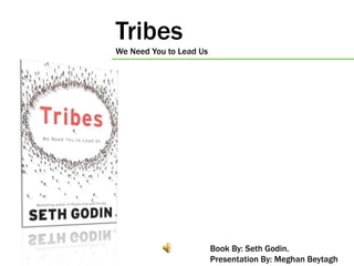 Tribes We Need You to Lead Us Book By: Seth Godin.  Presentation By: Meghan Beytagh 