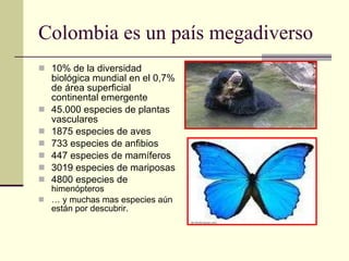 Colombia es un país megadiverso 10% de la diversidad biológica mundial en el 0,7% de área superficial continental emergente 45.000 especies de plantas vasculares 1875 especies de aves 733 especies de anfibios 447 especies de mamíferos 3019 especies de mariposas 4800 especies de  himenópteros …  y muchas mas especies aún están por descubrir. 