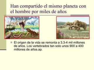 Han compartido el mismo planeta con el hombre por miles de años El origen de la vida se remonta a 3.3-4 mil millones de años. Los vertebrados tan solo unos 900 a 400 millones de años.ap. 