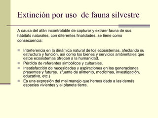 Extinción por uso  de fauna silvestre A causa del afán incontrolable de capturar y extraer fauna de sus hábitats naturales, con diferentes finalidades, se tiene como  consecuencia:  Interferencia en la dinámica natural de los ecosistemas, afectando su estructura y función, así como los bienes y servicios ambientales que estos ecosistemas ofrecen a la humanidad. Pérdida de referentes simbólicos y culturales. Insatisfacción de necesidades y aspiraciones en las generaciones presentes y futuras.  (fuente de alimento, medicinas, investigación, educativo, etc.) Es una expresión del mal manejo que hemos dado a las demás especies vivientes y al planeta tierra. 