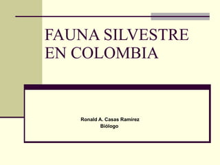 FAUNA SILVESTRE EN COLOMBIA Ronald A. Casas Ramírez  Biólogo   