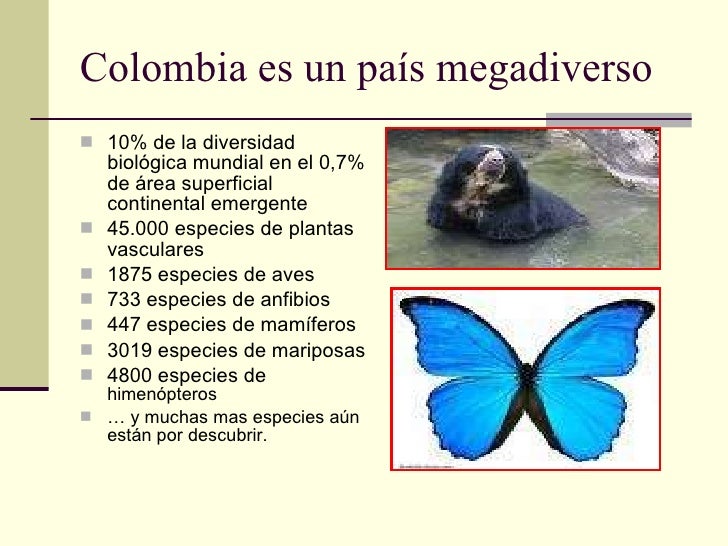 Resultado de imagen para uso de la fauna colombiana