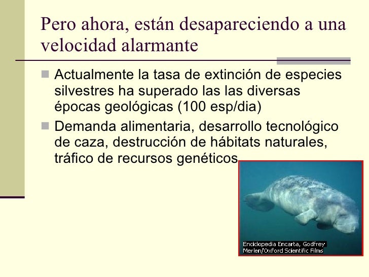 Resultado de imagen para uso de la fauna colombiana