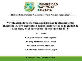 Recinto Universitario “Lorenza Myriam Aragón Fernández”
“Evaluación de dos técnicas quirúrgicas de Orquiectomía
(Escrotal Vs. Pre-escrotal) en caninos domésticos de la ciudad de
Camoapa, en el periodo de junio a julio del 2018”
AUTORES:
Br. Leyrin Yubelka Marín Sequeira
Br. Abdy Medardo Castillo Gómez
Mv. Robell Raduam Masís Ríos
M.V. Wilmord Jenitzio Jirón Aragón
Camoapa, 29 de Octubre de 2018
 