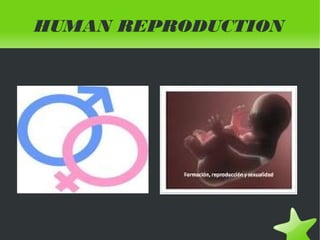 HUMAN REPRODUCTION

 

 

 