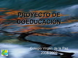 PROYECTO DE COEDUCACIÓN Colegio Virgen de la Paz 2008-2009 