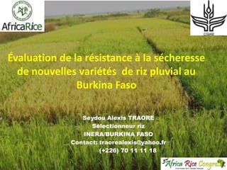 Évaluation de la résistance à la sécheresse
de nouvelles variétés de riz pluvial au
Burkina Faso
Seydou Alexis TRAORE
Sélectionneur riz
INERA/BURKINA FASO
Contact: traorealexis@yahoo.fr
(+226) 70 11 11 18

 