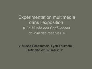 Expérimentation multimédia dans l’exposition  «  Le Musée des Confluences  dévoile ses réserves  » ,[object Object],[object Object]