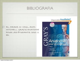 BIBLIOGRAFIA



           RL. DRAKE, W. VOGL, AWM.
           MITCHELL. GRAY'S ANATOMIE
           POUR LES ÉTUDIANTS. 2010. 2
           ED.




martes 20 de septiembre de 2011
 