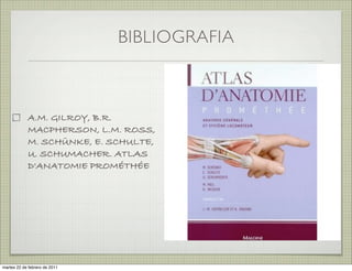 BIBLIOGRAFIA



            A.M. GILROY, B.R.
            MACPHERSON, L.M. ROSS,
            M. SCHÜNKE, E. SCHULTE,
            U. SCHUMACHER. ATLAS
            D'ANATOMIE PROMÉTHÉE




martes 20 de septiembre de 2011
 