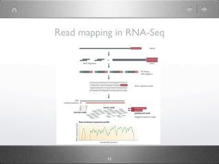 Next-Generation Sequencing and its Applications in RNA-Seq | KEY ...