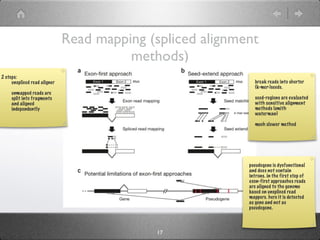 Split Read Next-Generation Sequencing and its Applications in RNA-Seq | KEY