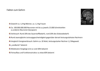 Fakten zum Gehirn




   Gewicht ca. 1,4 Kg Männer, ca. 1,3 Kg Frauen
   Ca. 100.000.000.000 Neuronen mit bis zu jeweils 15.000 Schnittstellen
   zu anderen Neuronen (Synapsen)
   Verbrauch: Rund 20% des Sauerstoffbedarfs, rund 20% des Glukosebedarfs
   Rund zwanzigfache Leistungsgeschwindigkeit gegenüber derzeit leistungsstärksten Rechnern
   Vergleich Energieverbrauch: Gehirn ca. 20 Watt, leistungsstarker Rechner 1,2 Megawatt
   „Landkarte“ bekannt
   Molekulare Vorgänge erst zu rund 30% bekannt
   Feinaufbau und Funktionsstruktur zu etwa 60% bekannt
 