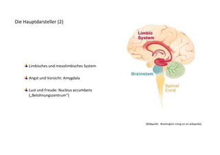 Die Hauptdarsteller (2)




      Limbisches und mesolimbisches System

      Angst und Vorsicht: Amygdala

      Lust und Freude: Nucleus accumbens
      („Belohnungszentrum“)




                                             [Bildquelle: Washington irving on en.wikipedia]
 