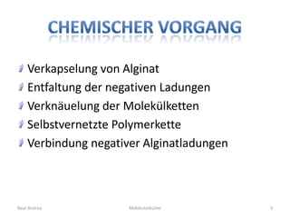Verkapselung von Alginat
    Entfaltung der negativen Ladungen
    Verknäuelung der Molekülketten
    Selbstvernetzte Polymerkette
    Verbindung negativer Alginatladungen



Baur Andrea           Molekularküche       3
 