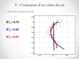 V - Croissance d’un crâne de rat
• Kendal shape space

R21 = 0.79
R22 = 0.85
R23 = 0.87

 