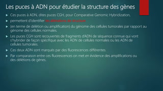 Les puces à ADN pour étudier la structure des gènes
 Ces puces à ADN, dites puces CGH, pour Comparative Genomic Hybridization,
 permettent d’identifier les altérations de structure
 (en terme de délétion ou amplification) du génome des cellules tumorales par rapport au
génome des cellules normales.
 Les puces CGH sont recouvertes de fragments d’ADN de séquence connue qui vont
s’hybrider de façon spécifique avec les ADN de cellules normales ou les ADN de
cellules tumorales.
 Ces deux ADN sont marqués par des fluorescences différentes.
 Par comparaison entre ces fluorescences on met en évidence des amplifications ou
des délétions de gènes.
 