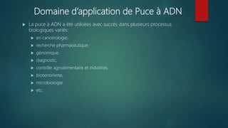 Domaine d’application de Puce à ADN
 La puce à ADN a été utilisées avec succès dans plusieurs processus
biologiques variés:
 en cancérologie,
 recherche pharmaceutique,
 génomique,
 diagnostic,
 contrôle agroalimentaire et industriel,
 bioterrorisme,
 microbiologie
 etc.
 
