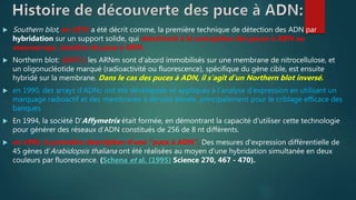  Southern blot, en 1975 a été décrit comme, la première technique de détection des ADN par
hybridation sur un support solide, qui aboutiront à la conception des puces à ADN ou
macroarrays. (ancêtre de puce à ADN.
 Northern blot: (1977 ) les ARNm sont d’abord immobilisés sur une membrane de nitrocellulose, et
un oligonucléotide marqué (radioactivité ou fluorescence), spécifique du gène cible, est ensuite
hybridé sur la membrane. Dans le cas des puces à ADN, il s’agit d’un Northern blot inversé.
 en 1990, des arrays d'ADNc ont été développés et appliqués à l'analyse d'expression en utilisant un
marquage radioactif et des membranes à densité élevée, principalement pour le criblage efficace des
banques
 En 1994, la société D'Affymetrix était formée, en démontrant la capacité d'utiliser cette technologie
pour générer des réseaux d'ADN constitués de 256 de 8 nt différents.
 en 1995, la première description d’une “puce à ADN”, Des mesures d'expression différentielle de
45 gènes d'Arabidopsis thaliana ont été réalisées au moyen d'une hybridation simultanée en deux
couleurs par fluorescence. (Schena et al. (1995) Science 270, 467 - 470).
 
