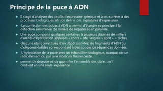 Principe de la puce à ADN
 Il s’agit d’analyser des profils d’expression génique et à les corréler à des
processus biologiques afin de définir des signatures d’expression.
 La confection des puces à ADN a permis d’étendre ce principe à la
détection simultanée de milliers de séquences en parallèle.
 Une puce comporte quelques centaines à plusieurs dizaines de milliers
d’unités d’hybridation appelées « spots » (de l’anglais « spot » = tache),
 chacune étant constituée d’un dépôt (sondes) de fragments d’ADN ou
d’oligonucléotides correspondant à des sondes de séquences données.
 L’hybridation de la puce avec un échantillon biologique, marqué par un
radioélément ou par une molécule fluorescente,
 permet de détecter et de quantifier l’ensemble des cibles qu’il
contient en une seule expérience
 