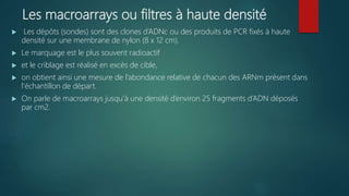 Les macroarrays ou filtres à haute densité
 Les dépôts (sondes) sont des clones d’ADNc ou des produits de PCR fixés à haute
densité sur une membrane de nylon (8 x 12 cm).
 Le marquage est le plus souvent radioactif
 et le criblage est réalisé en excès de cible,
 on obtient ainsi une mesure de l’abondance relative de chacun des ARNm présent dans
l’échantillon de départ.
 On parle de macroarrays jusqu’à une densité d’environ 25 fragments d’ADN déposés
par cm2.
 