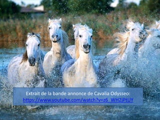 Extrait de la bande annonce de Cavalia Odysseo:
https://www.youtube.com/watch?v=z6_WH2jPtUY
 