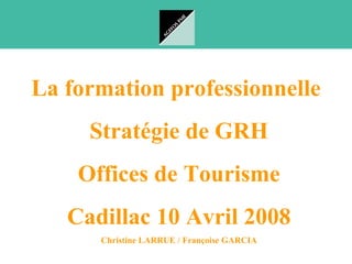 La formation professionnelle
     Stratégie de GRH
    Offices de Tourisme
   Cadillac 10 Avril 2008
      Christine LARRUE / Françoise GARCIA
 