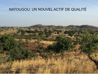 NATOUGOU: UN NOUVEL ACTIF DE QUALITÉ
 