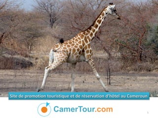 CamerTour.com
Site de promotion touristique et de réservation d’hôtel au Cameroun
1
 