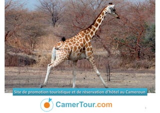 CamerTour.com
Site de promotion touristique et de réservation d’hôtel au Cameroun
1
 