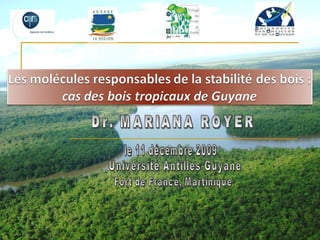 Dr. MARIANA ROYER Université Antilles Guyane Fort de France, Martinique le 11 décembre 2009 