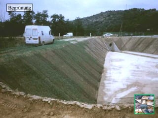 Begrünung 