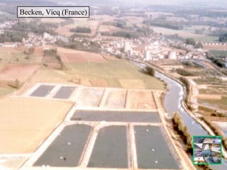 Becken, Vicq (France) 