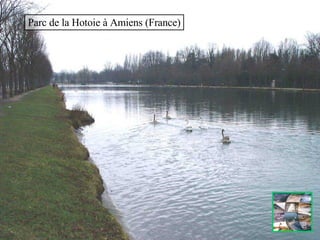 Parc de la Hotoie à Amiens (France) 