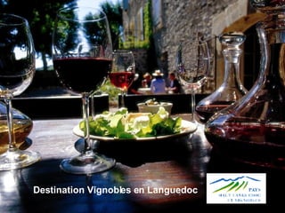 Destination Vignobles en Languedoc 