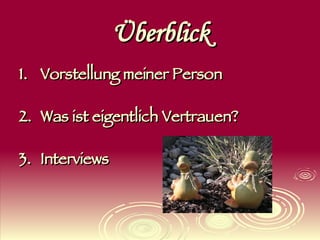 Überblick Vorstellung meiner Person Was ist eigentlich Vertrauen? Interviews 