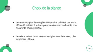 Choixdelaplante
• Les macrophytes immergées sont moins utilisées car leurs
efficacité est liée à la transparence des eaux suffisante pour
assurer la photosynthèse.
• Les deux autres types de macrophytes sont beaucoup plus
largement utilisés .
10
 