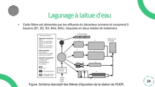 Lagunageàlaitued'eau
• Cette filière est alimentée par les effluents du décanteur primaire et comprend 5
bassins (B1, B2, B3, B4a, B4b), disposés en deux stades de traitement.
24
Figure :Schéma descriptif des filières d’épuration de la station de l’EIER.
 