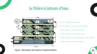 lafilièreàlaitues d’eau
• DP : Décanteur primaire;
• B1: Bassin 1, avec ou sans plantes;
• B2: Bassin 2, avec laitue d’eau;
• B3 : Bassin 3, avec laitue d’eau;
• B4a : Bassin 4a, filtre gravier ou avec plantes;
• B4b : Bassin 4b, sans plantes;
25
Figure : Description des bassins d’expérimentation.
 