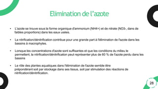 Elimination del’azote
• L'azote se trouve sous la forme organique d'ammonium (NH4+) et de nitrate (NO3-, dans de
faibles proportions) dans les eaux usées.
• La nitrification/dénitrification contribue pour une grande part à l'élimination de l'azote dans les
bassins à macrophytes.
• Lorsque les concentrations d'azote sont suffisantes et que les conditions du milieu le
permettent, la nitrification/dénitrification peut représenter plus de 60 % de l'azote perdu dans les
bassins
• Le rôle des plantes aquatiques dans l'élimination de l'azote semble être
prépondérant soit par stockage dans ses tissus, soit par stimulation des réactions de
nitrification/dénitrification.
28
 