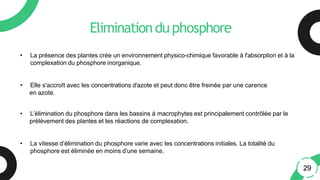 Eliminationduphosphore
• La présence des plantes crée un environnement physico-chimique favorable à l'absorption et à la
complexation du phosphore inorganique.
• Elle s'accroît avec les concentrations d'azote et peut donc être freinée par une carence
en azote.
• L’élimination du phosphore dans les bassins à macrophytes est principalement contrôlée par le
prélèvement des plantes et les réactions de complexation.
• La vitesse d’élimination du phosphore varie avec les concentrations initiales. La totalité du
phosphore est éliminée en moins d’une semaine.
29
 