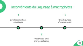 Inconvénientsdu Lagunageàmacrophytes
1
Développement des
moustiques
33
2
Problème de fortes
charges polluantes
3
Grande surface
d’emprise au sol
 
