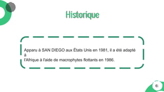 Historique
Apparu à SAN DIEGO aux États Unis en 1981, il a été adapté
à
l'Afrique à l'aide de macrophytes flottants en 1986.
6
 